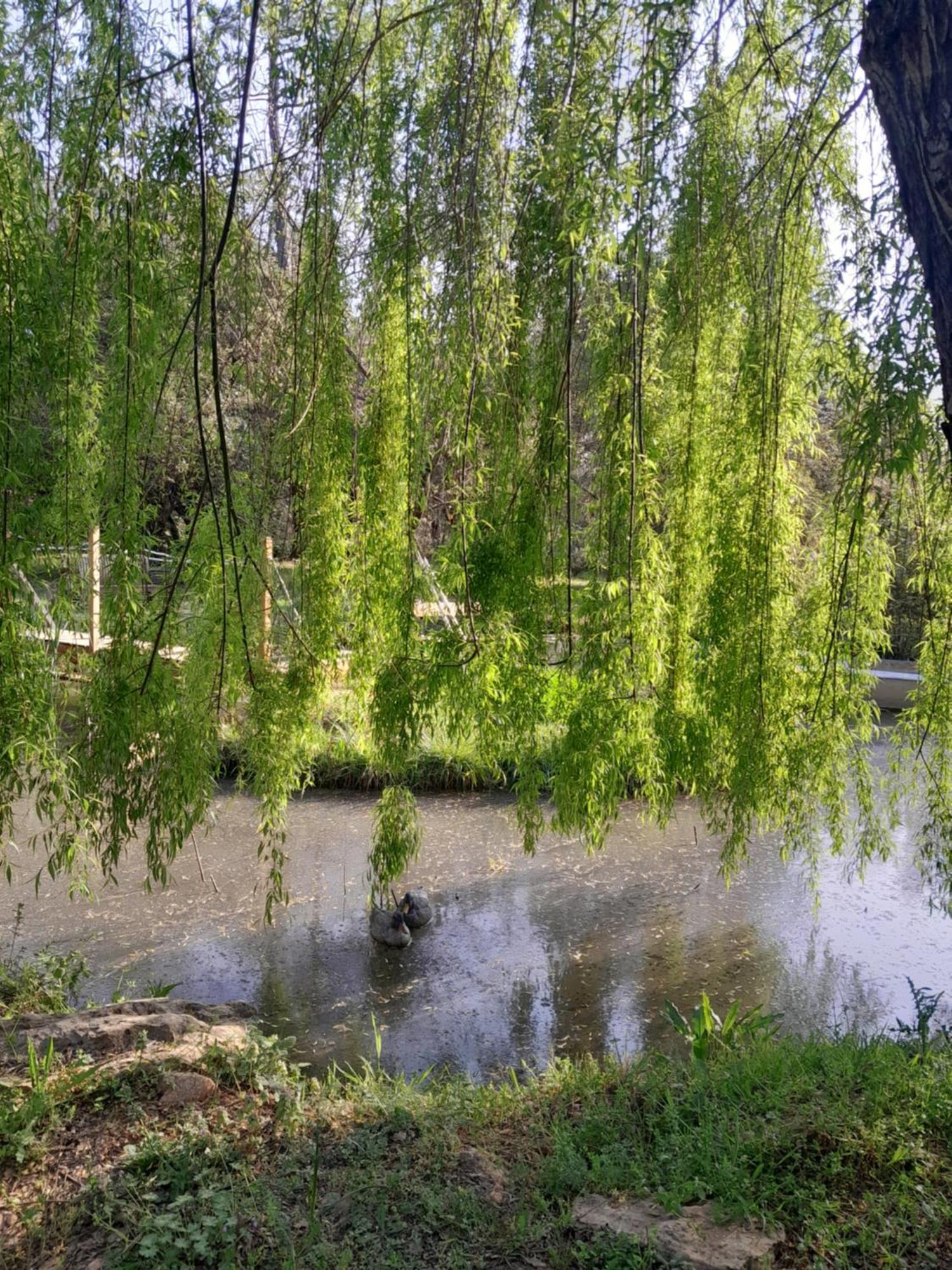 Domaine D'Avalon Hotel Lorgues Bagian luar foto